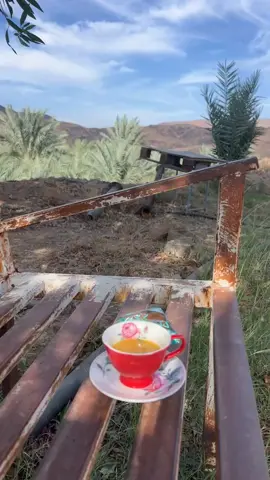 خلك مثل طبعك جميل وتجمل👌✨#لايك_متابعه #اكسيبلور🔥💙  الله يخلى ذا المزرعة 💘🕊️#قولو مشاء الله 🤍#تعليقكم_يسعدني❤️ #اكسبلورexplore❥🕊 