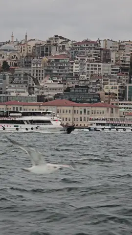 🎶Emre Aydin - Hoşçakal ... #istanbul #türkiye #turkiye🇹🇷 #elif_e_l 
