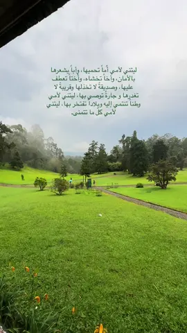 #أقتباسات #عبارات #خواطر #fvpシ #viral #MemeCut #أمي 