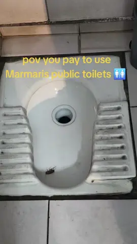#marmaris  #marmaristurkiye #publictoilet #dirty #cocroach 