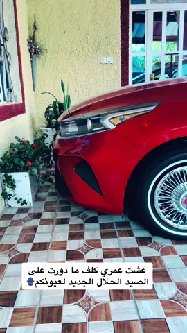 #علي_ماجد🔰 #المميزه👏 #الحلا#جديد#لعيونكم_حبايب_قلبي♡🧤 #الأصايل🎖️✈️ #سريع_بصره_بغداد #حله_بابل #بغداد_بصرة_موصل_الكويت_الخليج_دبي_ب #كراج_حويدر #بغداد_بصرة_موصل_الكويت_الخليج_دبي_ #جمبازي #كوت #بغداد_العراق #أصايل🎖️_جمبازيه_كربلاء🥇 #طشه #ديوانية #نجف #🧿 #✅ #🍎 #@ابو ازل العبودي @كماليات علي حنش @كيكو @زيد الخفاجي @حمزاوي ابن الحجي @محمد الربيعي @حــسـونـي 🔰 @عبوسي طماطه🍅 @Haider Emad Ja'afer @❤️ ليث الشمري ❤️ @20has1 @ابراهيم عبارة949 @احمد الخطاط للكماليات والاعلان @حسوني الريماس @حسين احمد @سجودي الأسمر @سيف الفتلاووي 🪬🫶 @أمير احمد @عباس حسن @علي الرهيمي @علي القصير @علي المرشدي @علي طماطه @كرار الحميري @ليوثي 🪬 @محمد الحجامي @مصطفى الهليجي 💁 @adass209 @Hussein Hamed @Hussein Abd @Hussein Sabah @Wisam G Alshammery 