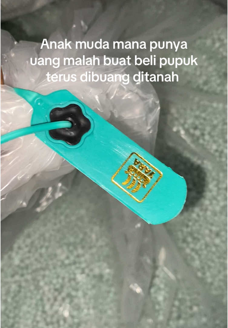Kelass🤣🤣 #petanimilenial #petanimuda #petanimelon#proses #bosmuda #yaramillawinner #masukberanda #masukberandafyp #xyzbca #fyppppppppppppppppppppppp 