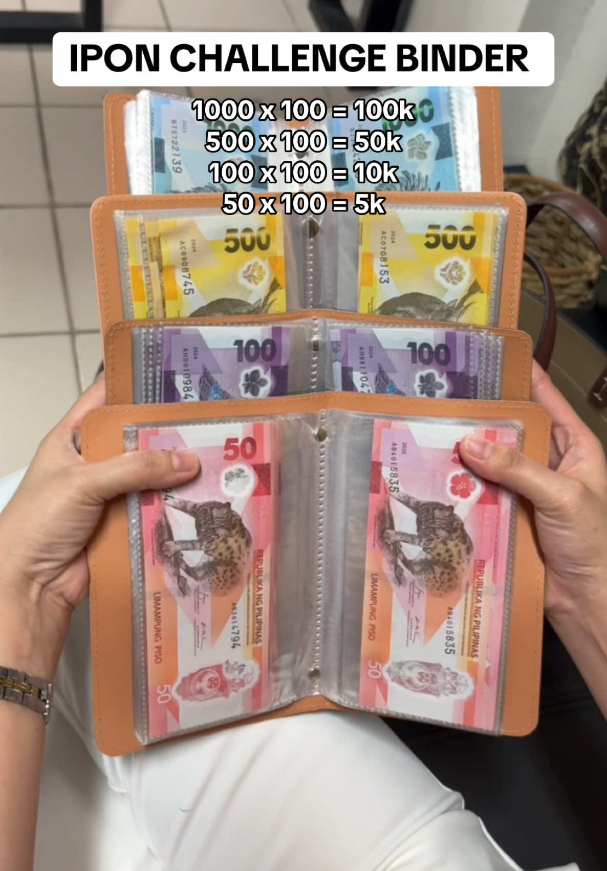 100 envelope savings challenge 💸 #iponchallenge #100envelopechallenge #100envelopesavingschallenge #fyp 