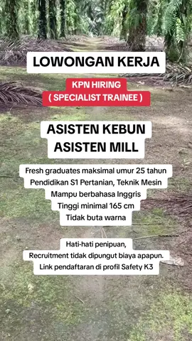 Lowongan Kerja Kebun Sawit #lowongankerja #lokerfreshgraduate #loker2025 #lokerterbaru #lokerperkebunansawit #managementtrainee #safetyk3 