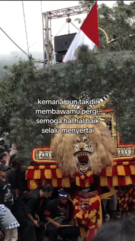 #storyreog #boloreog #fyp 