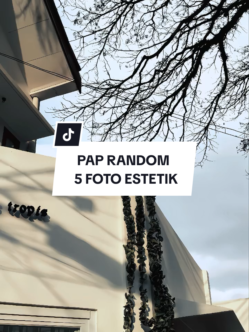 Pap Random | 5 Foto Estetik #CapCut #templatecapcut #paprandom #foryou #fyp 