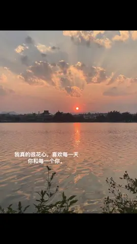 我真的很花心，喜欢每一天你和每一个你。#文案 #爱情 #热门音乐 #foryou 
