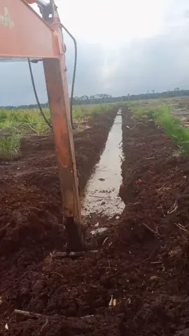 #excavator #galianprit#lahangambut#