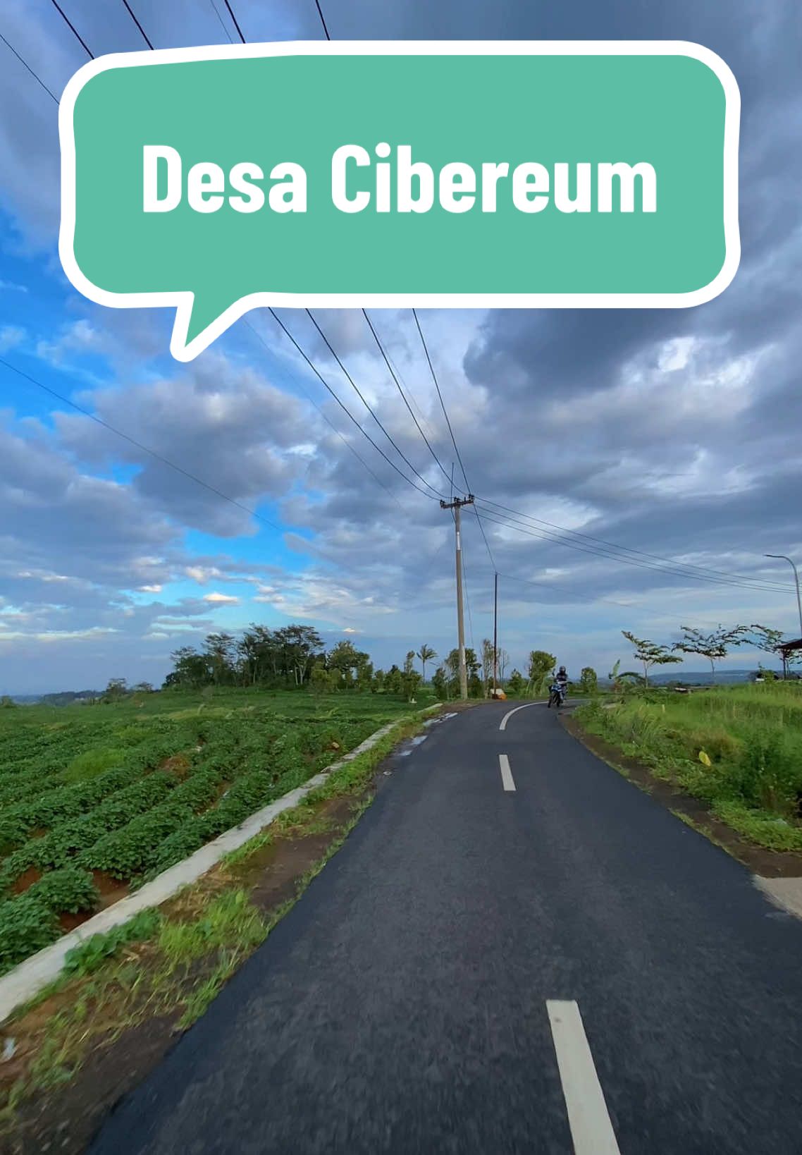 Jalanan persawahan wae mulus pisan kaya paha ayam #jalanpedesaan #lagusunda #kuninganjawabarat #vibes #fyp #foryou 