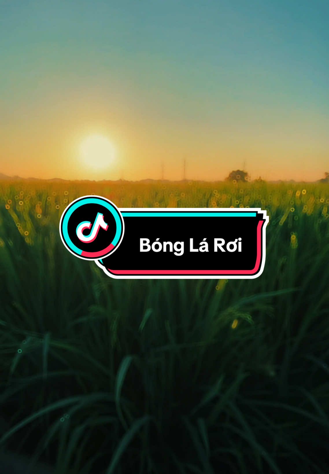 #CapCut Bóng lá rơi . #capcutradio #bonglaroi #nhenhang #chill #thugian #dongque #donglua #xuhuong 