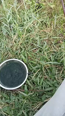 gara gara delok cah pacaran dadi joran ku gak mlengkung🎣🎣🤭🤭🤭 #mancing #mancingmania 