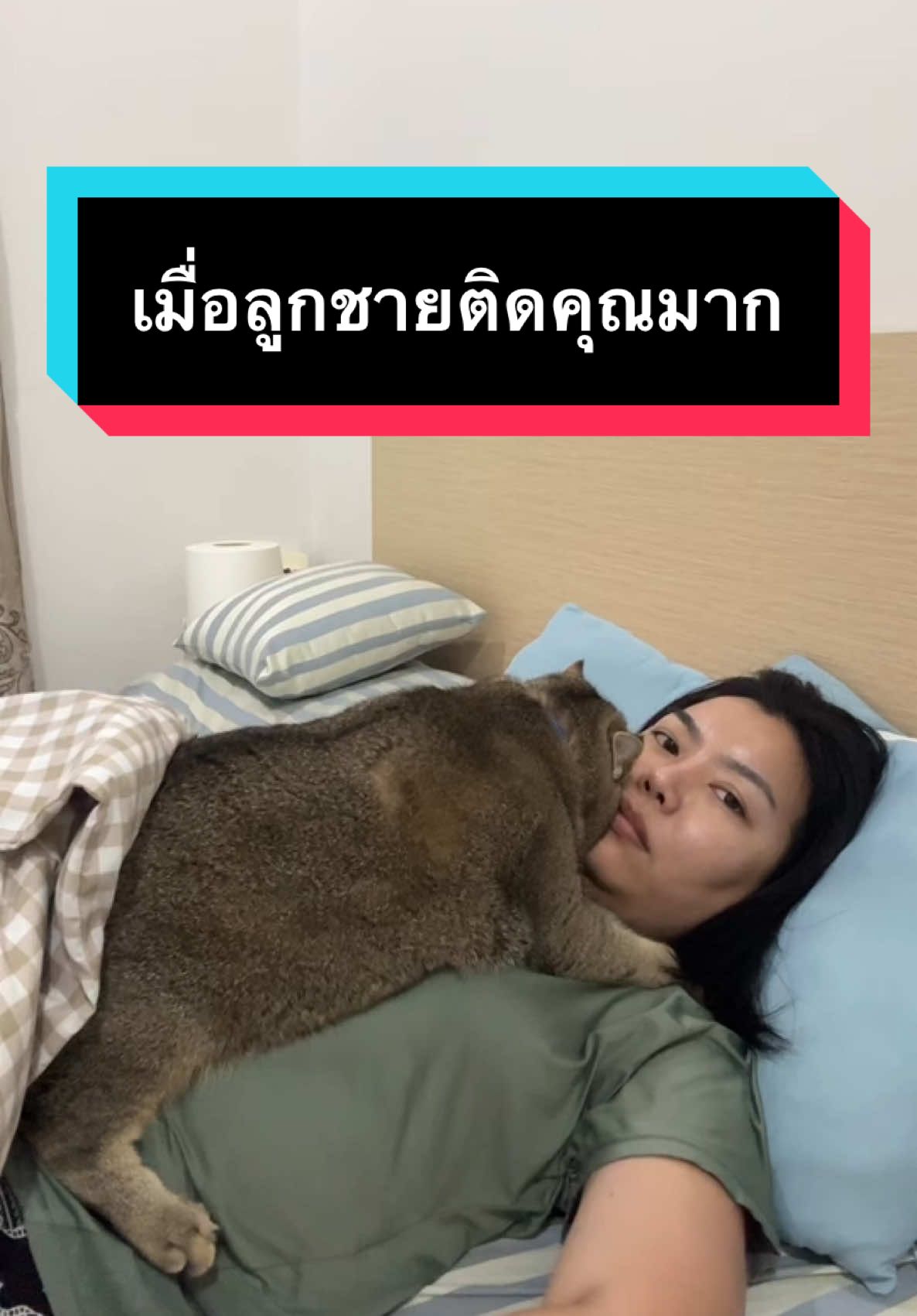 ตามทั้งวัน! #มู้ดดี้แมวแสบ #แมว #แมวน่ารัก #แมวอ้วน #สวนสัตว์tiktok #cat #catsoftiktok 