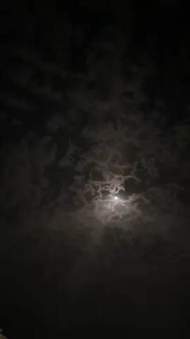 - وطيفك حطب عيّـني