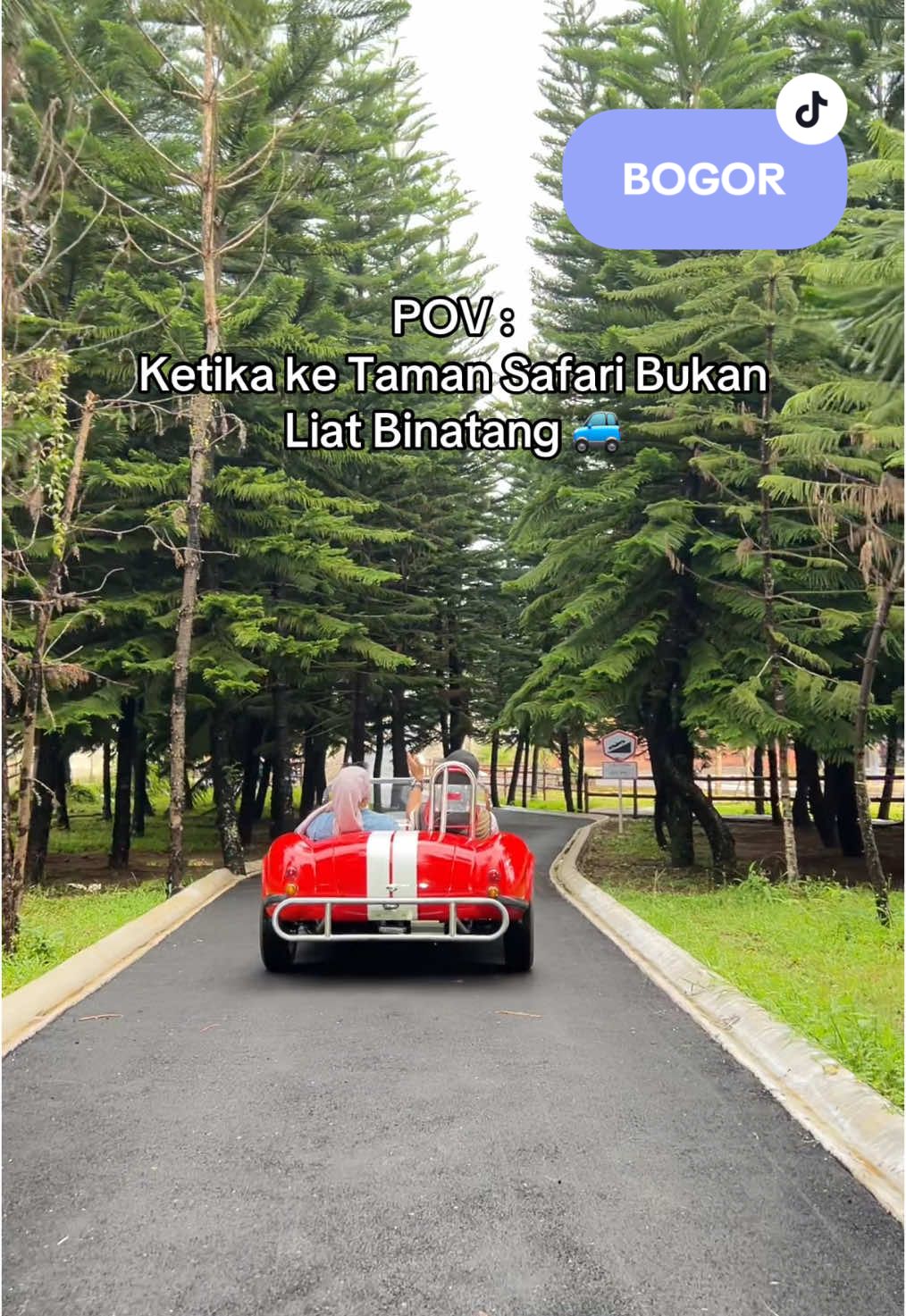 Ke Taman Safari Liat Binatang ❌ Ke Taman Safari Main Main Mobil Mobilan✅ #tamansafari #enchantingvalley #tamansafaribogor 