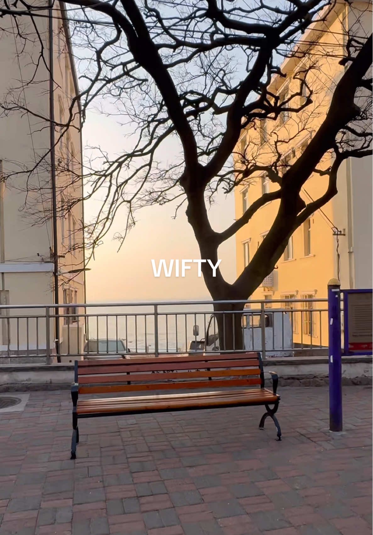 Love Qingdao, love WIFTY  #wheniflytowardsyou #WIFTY #cdrama #zhanglurang #suzaizai #qingdao 