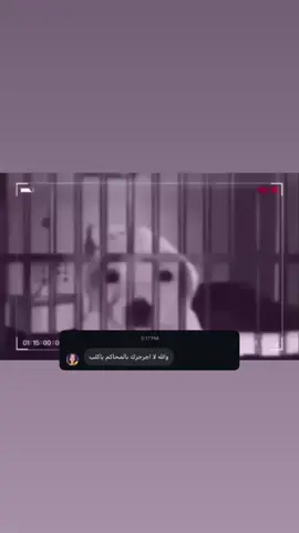 #fyp #foryou #explore 