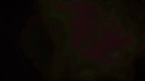 BETA TOMORROW #fyp #foru #gaming #monsterhunter #edit ##capcom #monsterhunterwilds #monsterhunterworld #monsterhunterrise #monsterhunter4ultimate #newgame #videogame #hype #beaman #mulan #disney