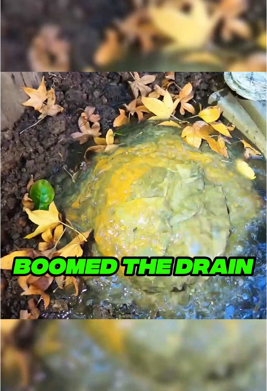 NINE AND CLOSE🤢 #drain #plumbing #clean #draincleaning #foyou #fyp #omg #amazing 