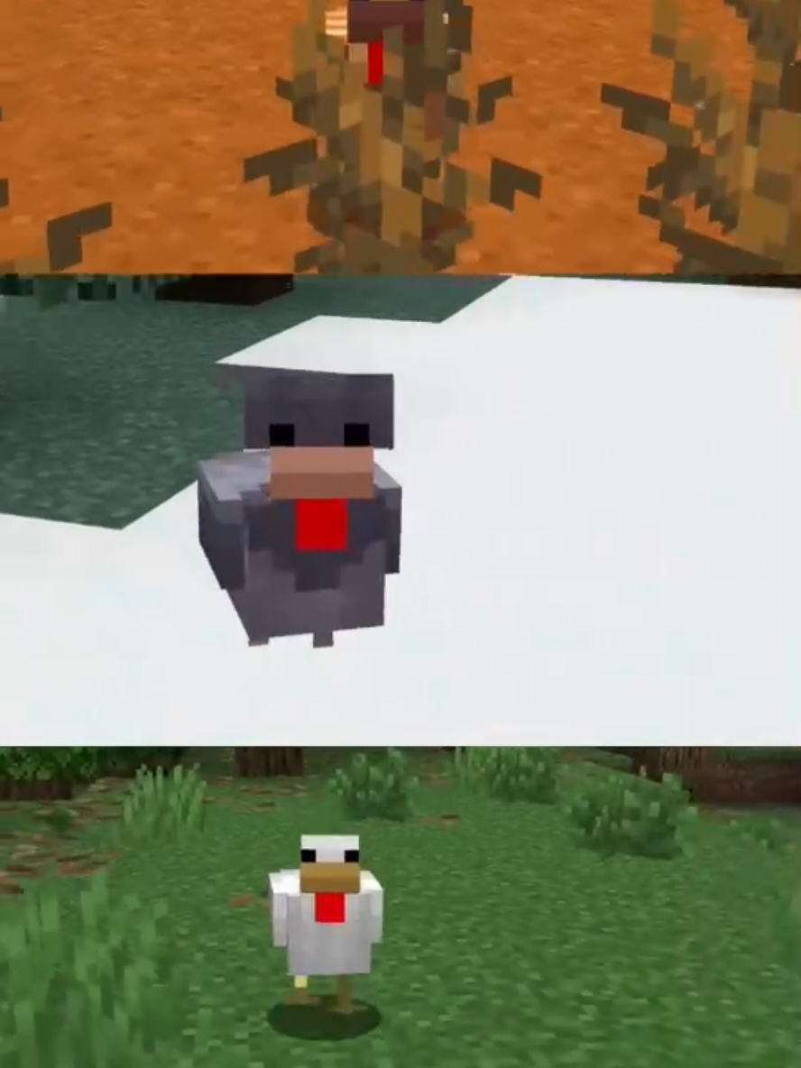 keep on clucking 🐥 #Minecraft 