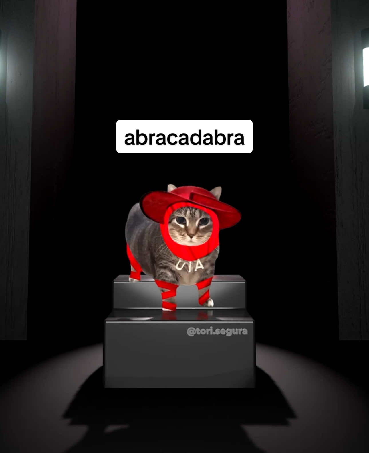 Abra u i a 😼✨ @oiacatethel 🫶 OIIA Cat x Abracadabra by Lady Gaga #cats #lyrics #abracadabra #ladygaga #mayhem #foryou #fyp 