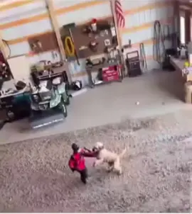 #canttouchthis #touchit #funnyvideo #2025 #crazy #watchoutnow #foryourpage #dont #bully 