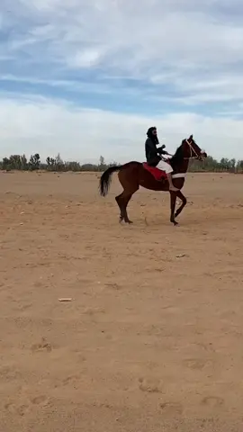 #افعال #افلح_من_ذكر_الله #✈️ 