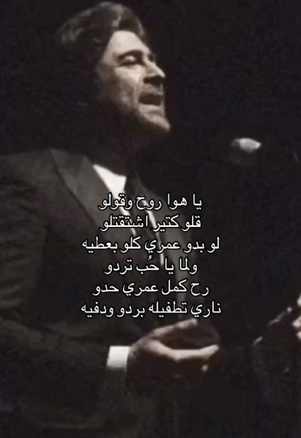 #وائل_كفوري #Dala #دالا #fyp 