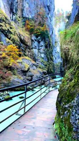 📍Aareschlucht, Switzerland ✨⛰️🇨🇭 #switzerland #grindelwald #swissaround #grindelwald + #heavenonearth #swissalps #lauterbrunnen #nature #Hiking #swissviews #switzerlandmountains #Outdoors #travelling #tourism #reisen #schweiz #swiss #suisse #switzerlandwonderland #visitswitzerland #myswitzerland #alps #wonderful_places #beautifuldestinations #exploreswitzerland #aareschlucht 