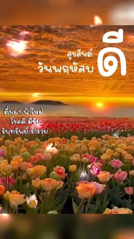 #อรุณสวัสดิ์ยามเช้า #เทรนด์วันนี้ #เพื่อความบันเทิง #เพลงเพราะ #เพลงฮิตtiktok #ขอบคุณเจ้าของภาพ 