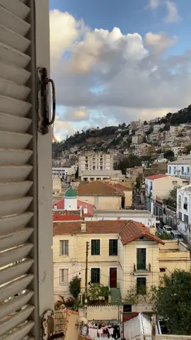 🕊️#algerie🇩🇿 #algerlablanche #belcourt 