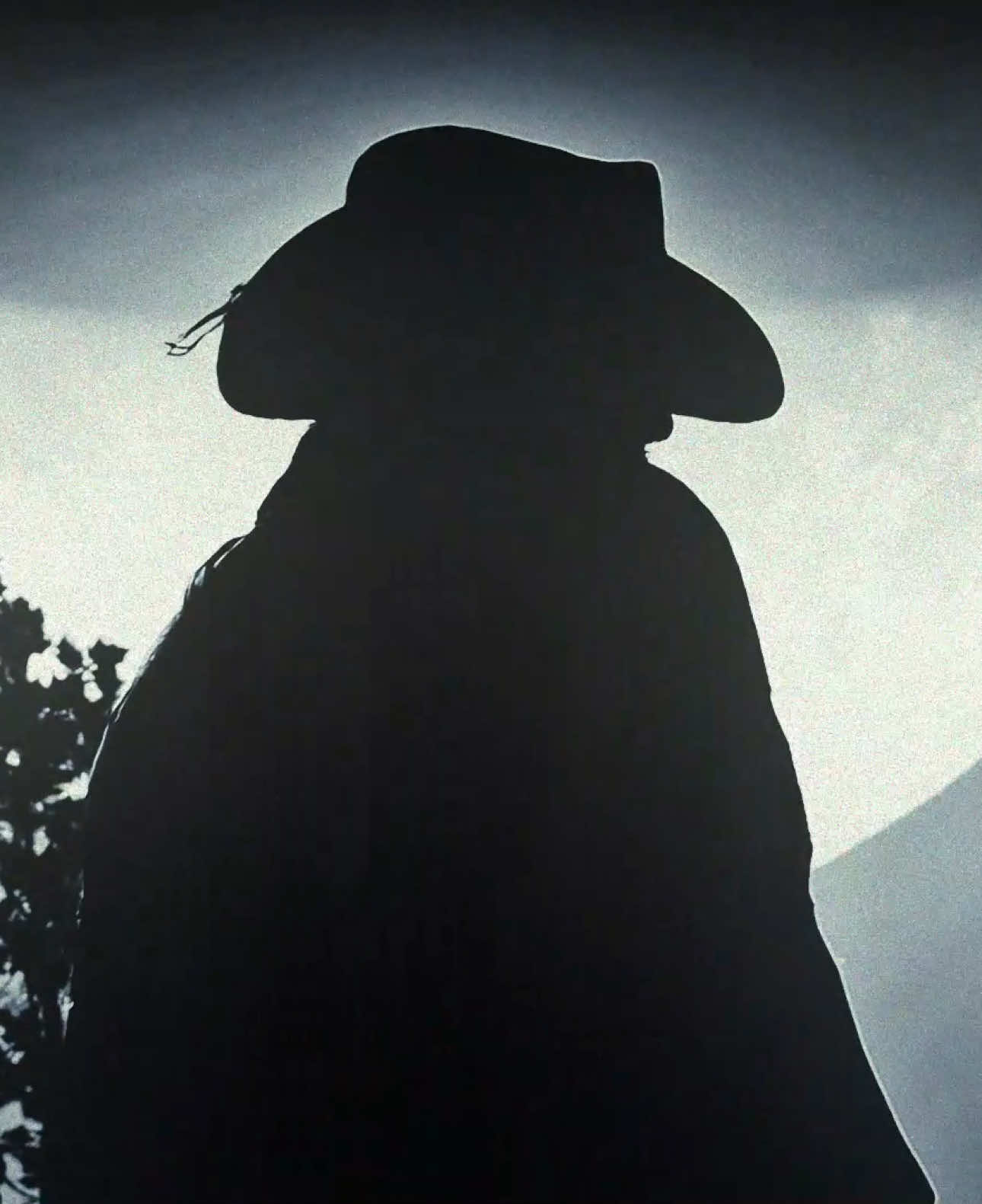 (fake all) wowza - sc vanbur, cc wolvisa // #arthurmorgan #arthurmorganedit #reddeadredemption2 #rdr2 