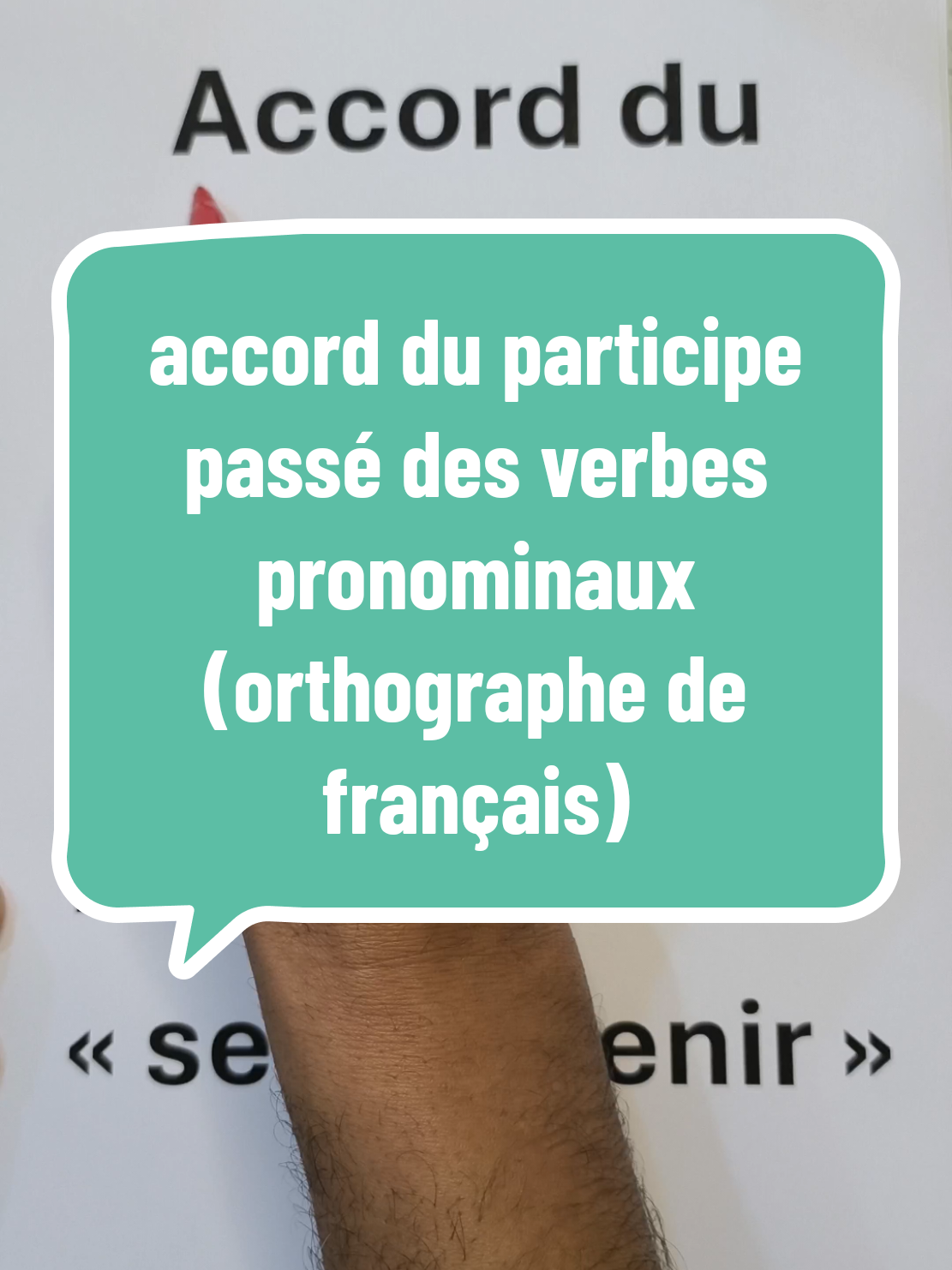 orthographe et accord du participe passé des verbes essentiellement pronominaux ou occasionnellement pronominaux. #accord #participepassé #verbe #pronominal #maitres #orthographe 