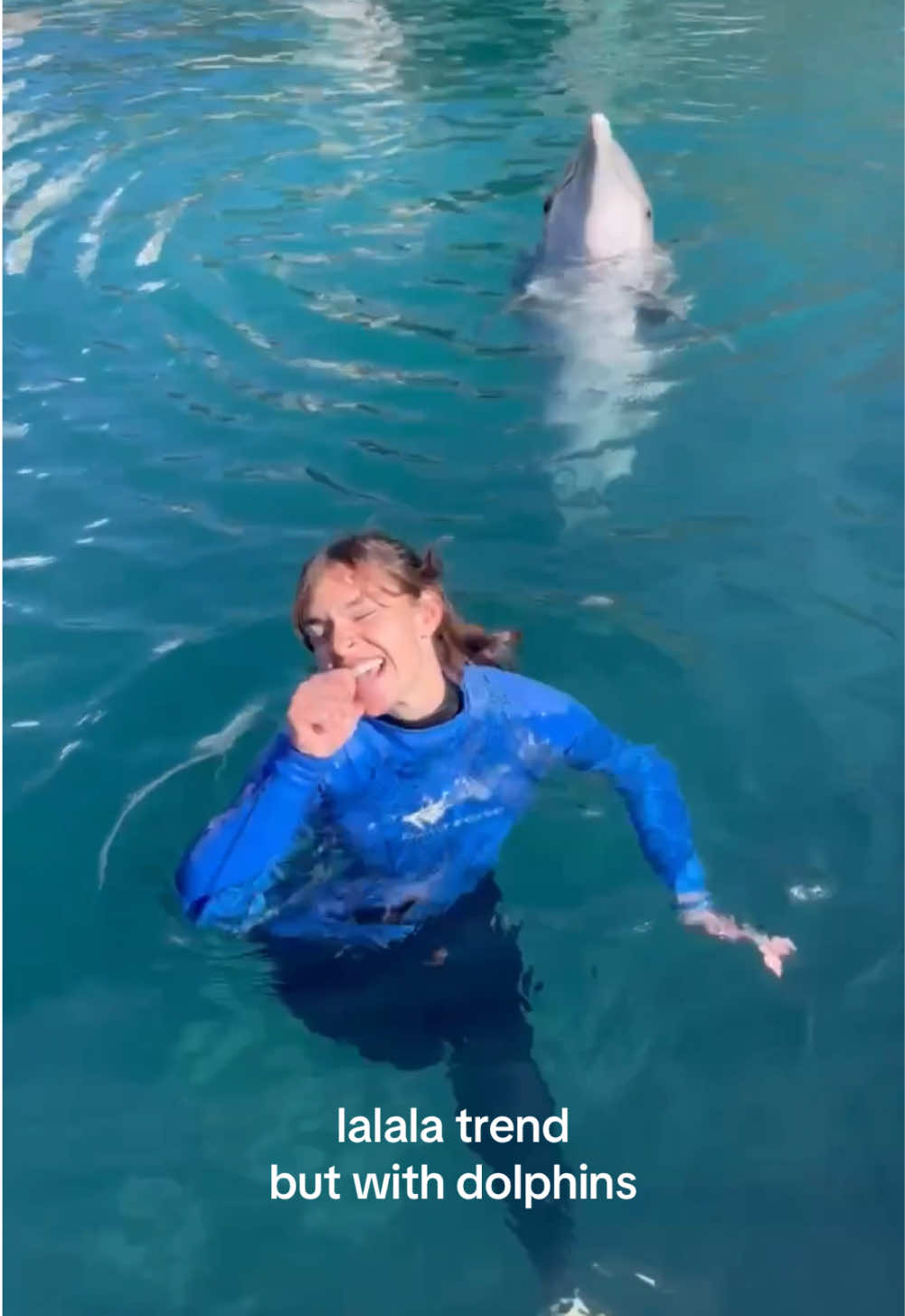 Bermuda Dolphins saw the trend and said, Bet. #lalala #fyp #dolphinquest #dolphins #cuteanimals 