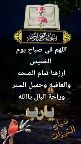 #يارب #صباحكم_معطر_بذكر_الله💚🌹🌿🌷😍🌸🙏 #اللهم_انك_عفو_تحب_العفو_فاعف_عنا 