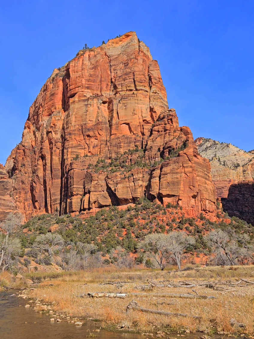 peak male experience #dopamineaddiction #zionnationalpark #angelslanding #roadtrip #plastered #riverbed #solotrip #mountains 