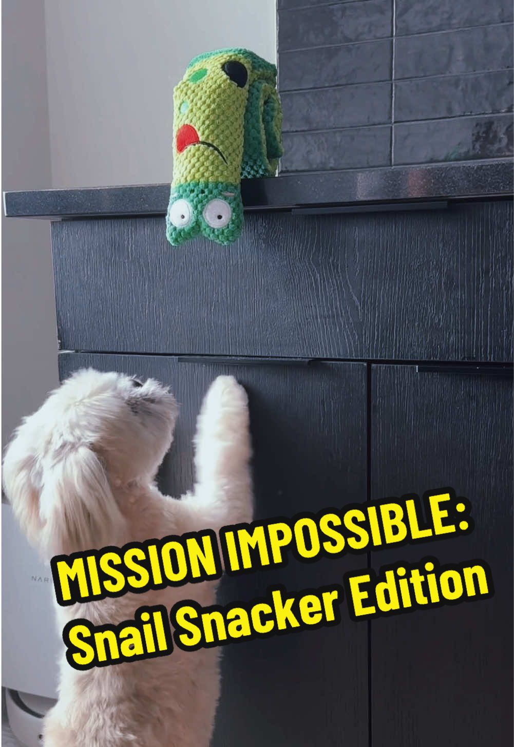 🚨 TOP SECRET MISSION: Secure the Snail Snacker™ at all costs! 🐌🎖️ 🐾 Objective: Retrieve the prize. 🐾 Obstacles: Counter too high, hooman watching. 🐾 Solution: Improvise. Adapt. Overcome. 💥 Mission Status: SUCCESS 💥 Your pup will stop at nothing to get their paws on the most exciting treat puzzle ever! 🦴🐶 🎯 Get yours before it disappears! 👇 🐾 www.aever.store                                    ##DogToys##ForagingFun##DogEnrichment##SmartDogs##DogPuzzle##PetParentLife##SnailSnacker##DogLover##FunnyDogs#MustHaveForDogs #AeverPets #tiktokmademebuyit 