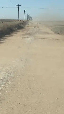 Plantas rodadoras #desierto #texas