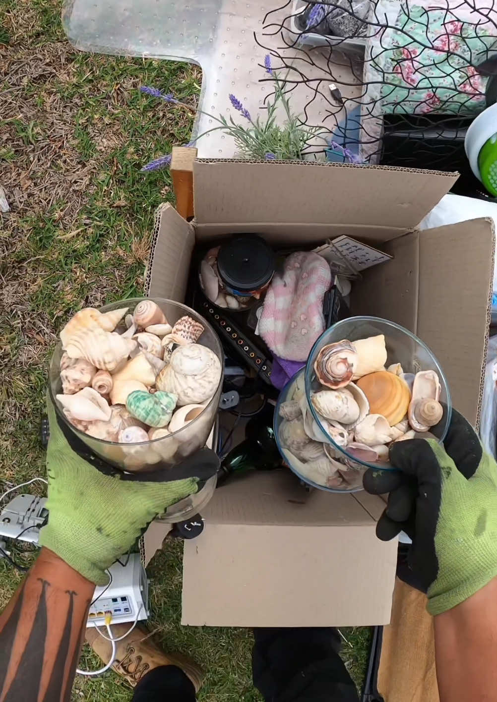 A near new ikea table & a bunch of seashells for display #polyprophet #youtube #free #treasurehunt #hardrubbish #australia #curbside #sidehustle #dumpsterdiving #streetscrapping #scrapping #scavenger #reseller #resell #relaxing #asmr #value