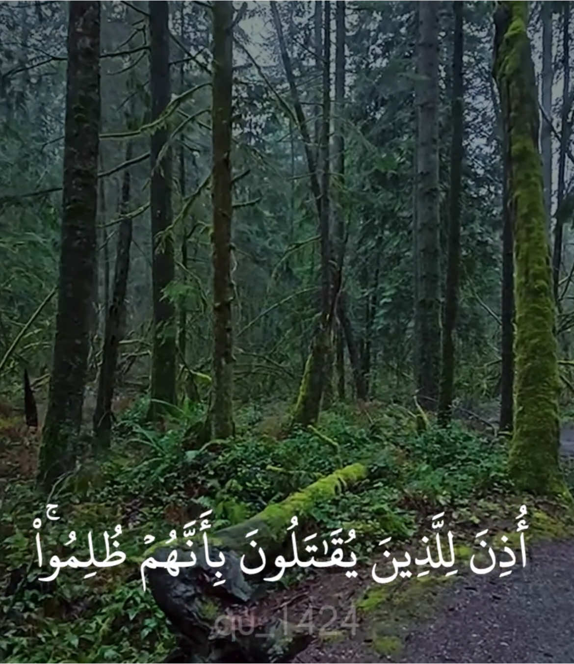 {اذن للذين يقتلون بانهم ظلمو } [ابداع ماهر حمد المعيقلي  ] @abod | 2009 @خـ ـالـ ـد | 2010 م  ___________________________ سورة الحج : ماهر المعيقلي  ___________________________ #quran #quran_kriem #القران_الكريم #قران #تلاوات_خاشعة #ماهر_المعيقلي 