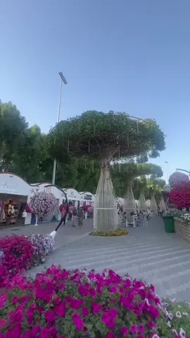 #mirceal#gardan#dubai🇦🇪#fyp#forupagefyp?dubai😍😘🥰🇬🇧 