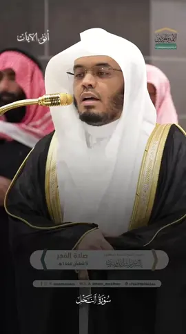 maqam kurd | sheikh Yasser #ياسرالدوسري #yasser_al_dosari1980 #maqam #kurd 