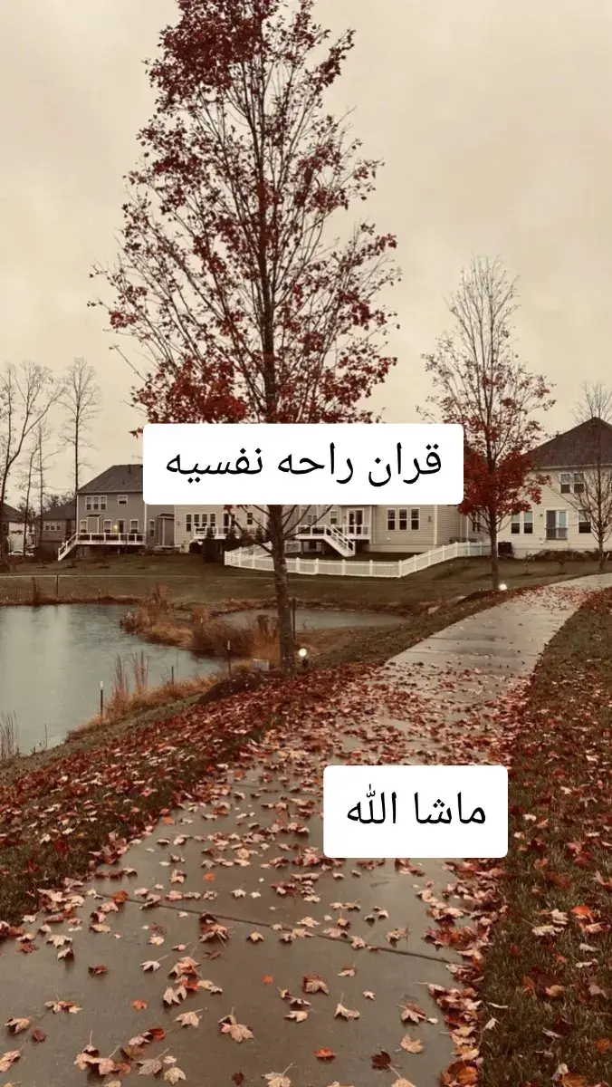 #قران #quran 