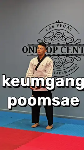 • Keumgang Poomsae 🥋 #onetopcenterwt #Taekwondo #poomsae 