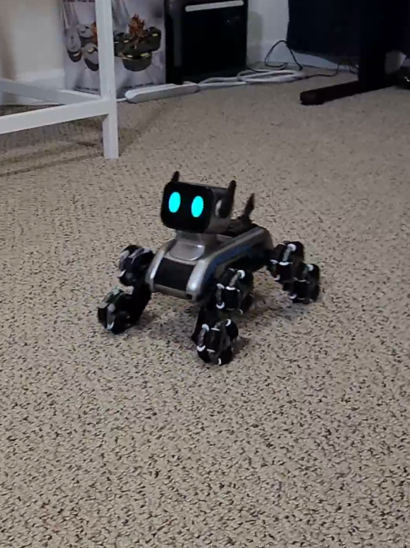 Stunt RC Robot Dog for Kids, Gesture Sensing Stunt Dog with Music and Lights @littlething2024 @YTHY Toy #ythytoy #toys #toydog #robotdog #remotecontrol #fyp #rc #for #gift #giftideas #tiktok #viralvideos #foryou #foryoupage #onsale #sale #deals #dealsforyoudays #tiktokshop #tiktokshopdeals #ttshop #part2 #fullreview 