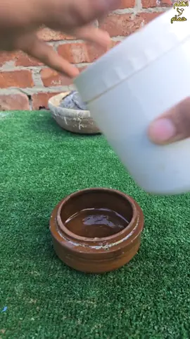 تاكيل الزغاليل 🧐#اتكلم_حمام_علاء #علاء #حمام_علاء #الحمام_مع_علاء #اتكلم_حمام 