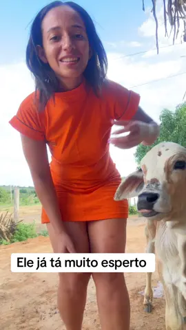 Ele já tá muito esperto #RegistroDevida