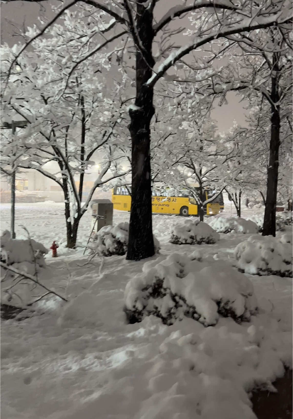 눈 ⛄️ #creatorsearchinsights #southkorea #koreansong #snowfall 