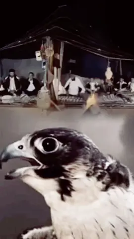 مازال رانا نحملو اكبار العزايم #foru #طرابلس_بنغازي_المرج_البيضاء_درنه_طبرق #بنغازي_طرابلس_ترهونه_رجمة_سرت_طبرق #الشعب_الصيني_ماله_حل😂😂 #قرقارش_سياحيه_حي_الاندلس_السراج_جنزور #ليبيا_طرابلس_مصر_تونس_المغرب_الخليج 