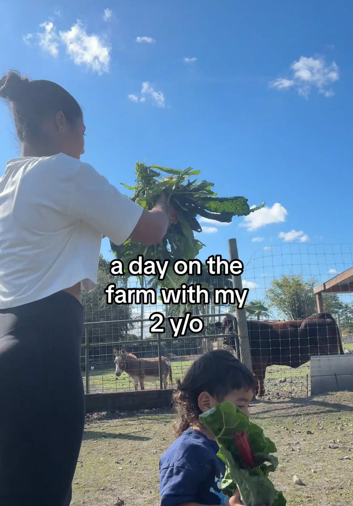 i think we need another cow ???? #sahm #farm #farmlife #toddlermom #ditl #ditlofamom #ditlvlog 