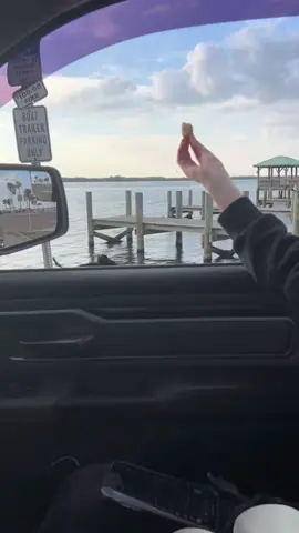 I promise the birds okay guys he flew away after this😭 #fyp #viralvideo 